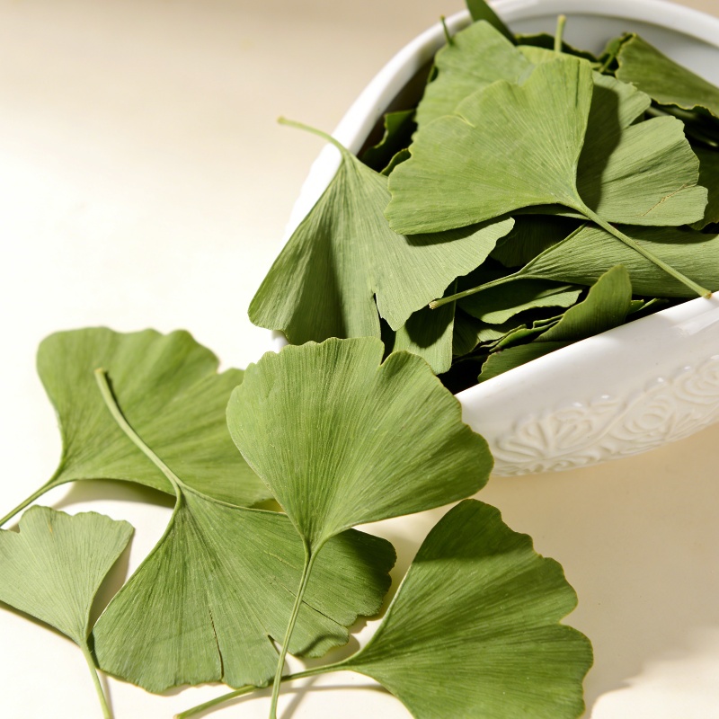 Home Fragrance Sachet - Quality Ginkgo Biloba Dried Leaves For